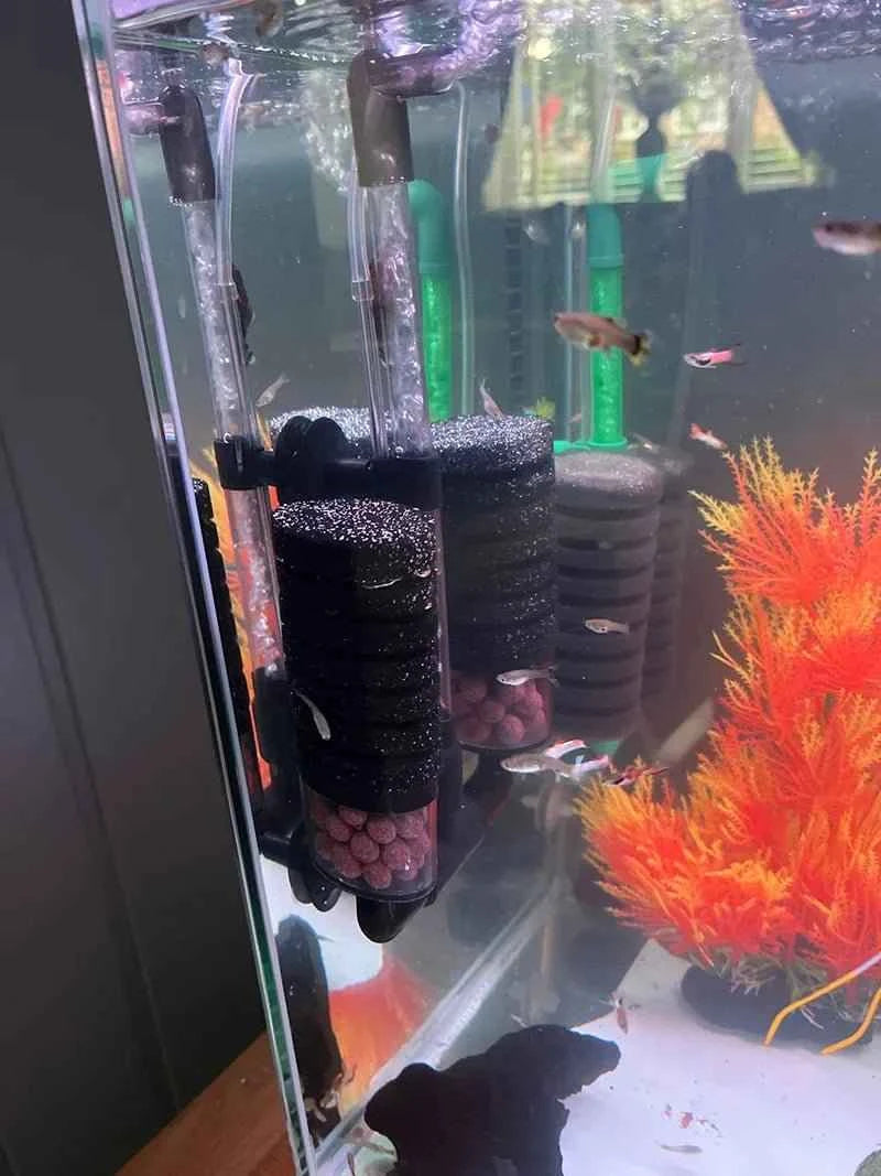 New Aquarium Filter for Aquarium Fish Tank Air Pump Skimmer Biochemical Sponge Filter Aquarium Bio Filters Filtro Aquario - Happy Tails