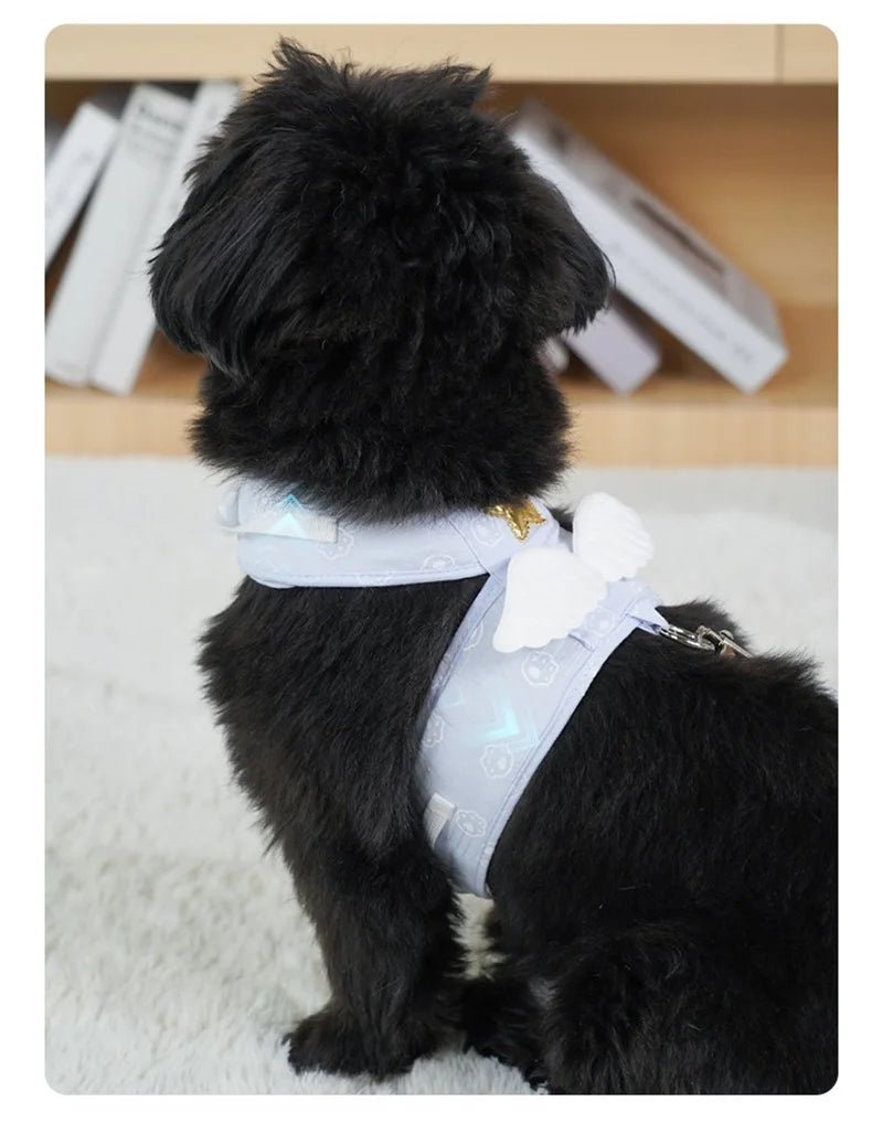 Cat Dog Harness Necklace Leash Collar Pet Items Accessories Kawaii Angel Wing Vest Harness For Dogs Cats Personalized Supplies - Happy Tails