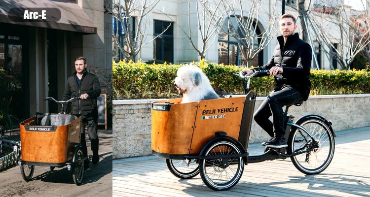 Electric Cargo Bike For Take Dog StrollHappy TailsHappy Tails