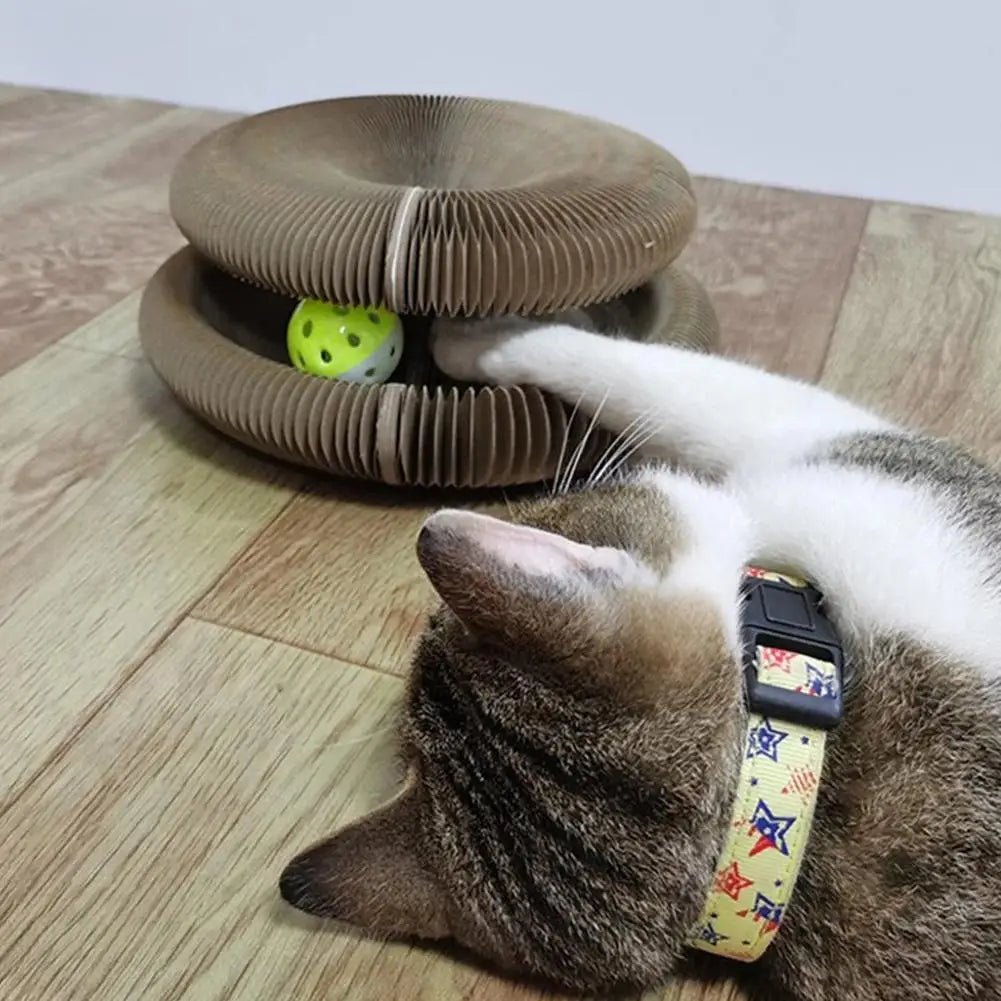 Cat toy,Folding cat scratch board,Bell ball bell pet toy,Cat paw training polishing tool,Toys for cats to entertain themselves. - Happy Tails