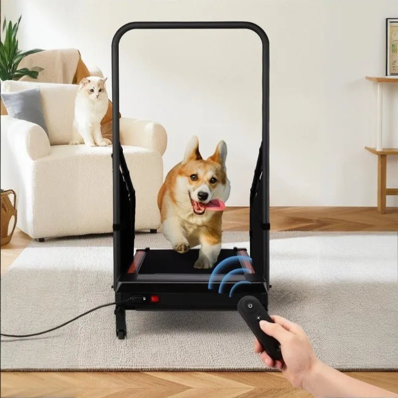 Pet Treadmill Trainer Intelligent Display Dog Running Adjustable Dog Walking Machine Non - slip Pet Trainings Supplies ProductsHappy TailsHappy Tails