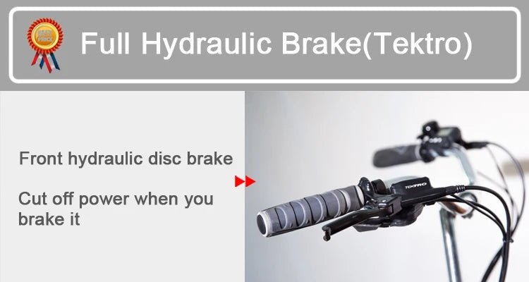 Electric Cargo Bike For Take Dog StrollHappy TailsHappy Tails