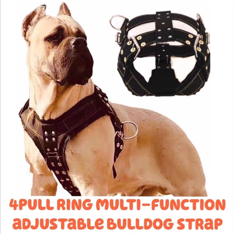 Dog Harness For Large Dog,Pit Bull Dog Harness Large Dog Collar Wholesale Leash Dog Vest Collar Fashion Pet Products Accessories - Happy Tails