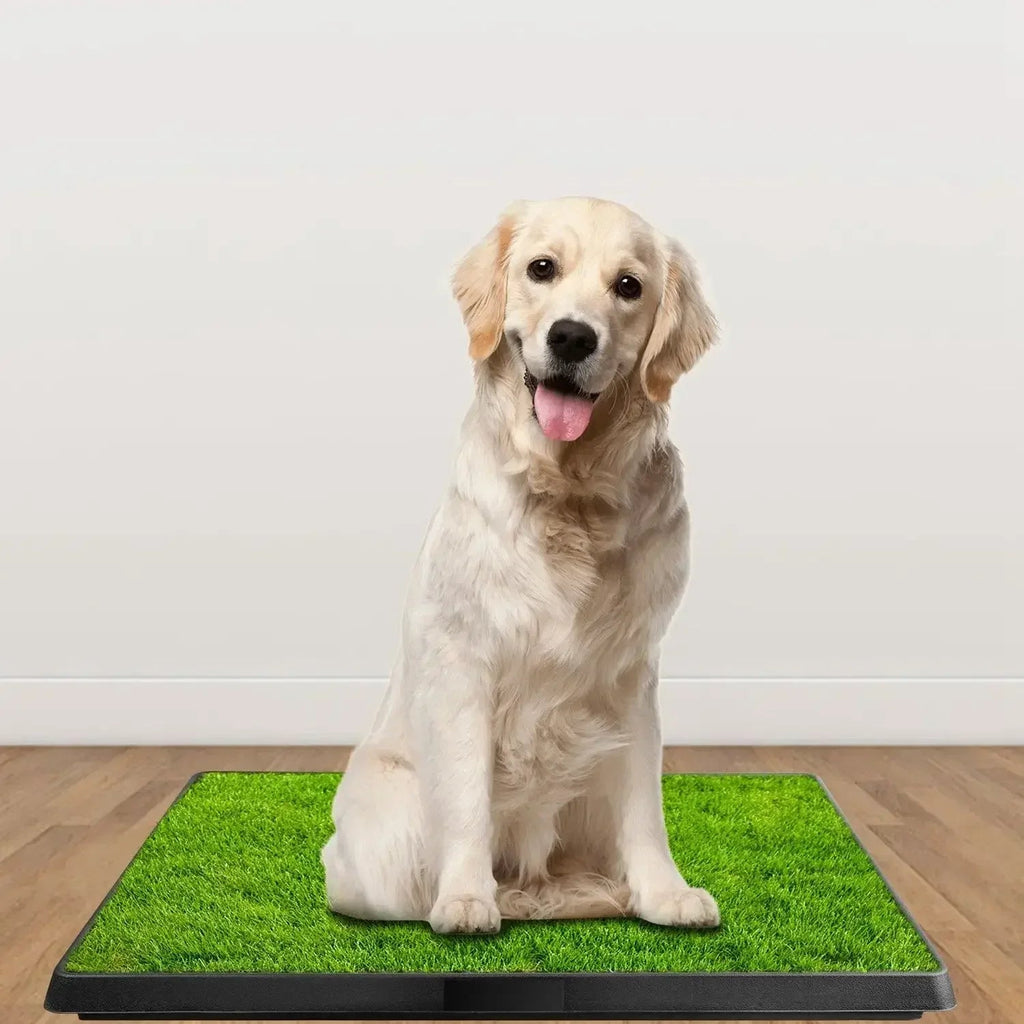 Portable Synthetic Grass Dog Potty TrayHappy TailsHappy Tails