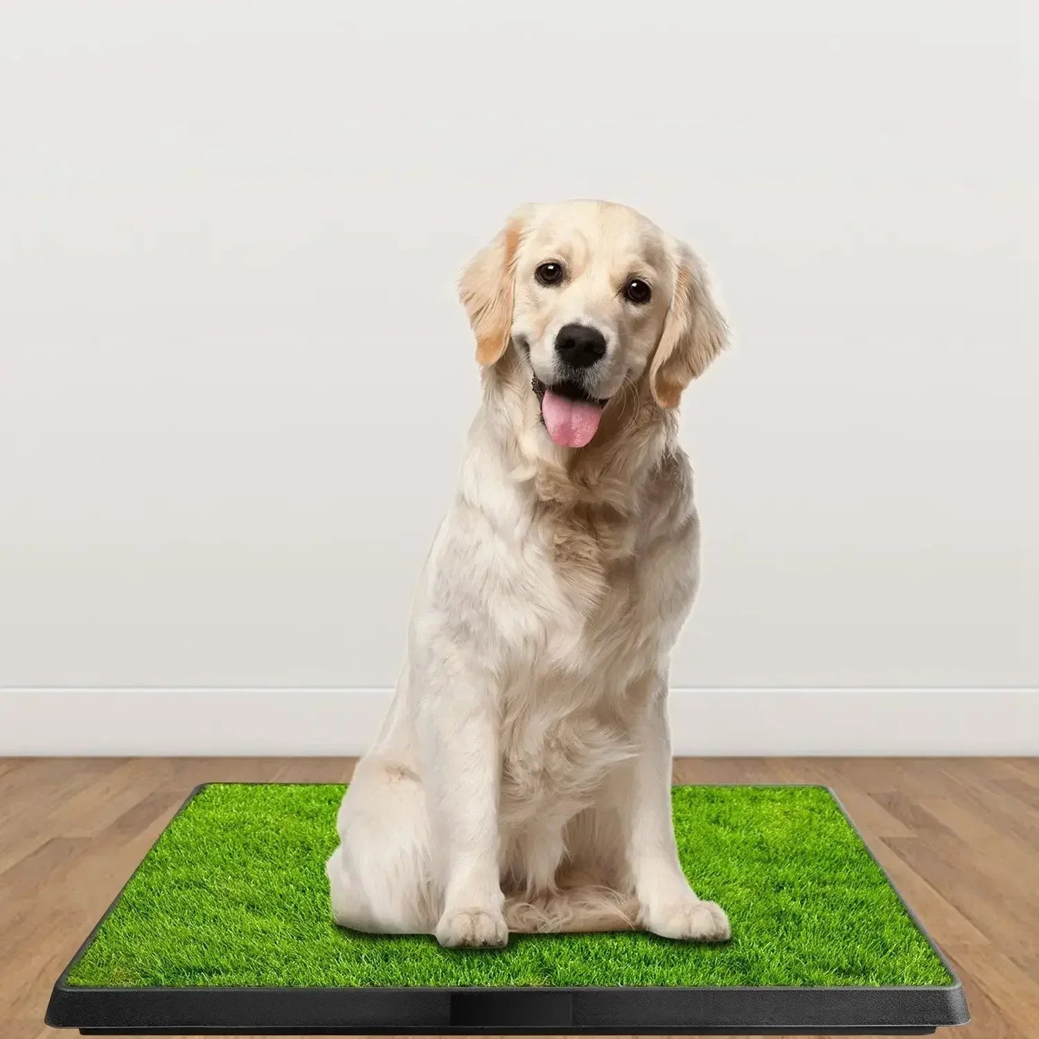 Portable Synthetic Grass Dog Potty TrayHappy TailsHappy Tails