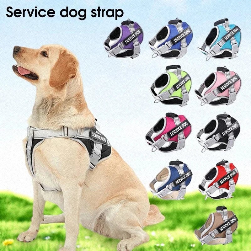 Puppy Harness for Dogs Accessories Dog Supplies Collars Harnesses Leashes Big Dog Leash Pet Collar Small Pets Things - Happy Tails