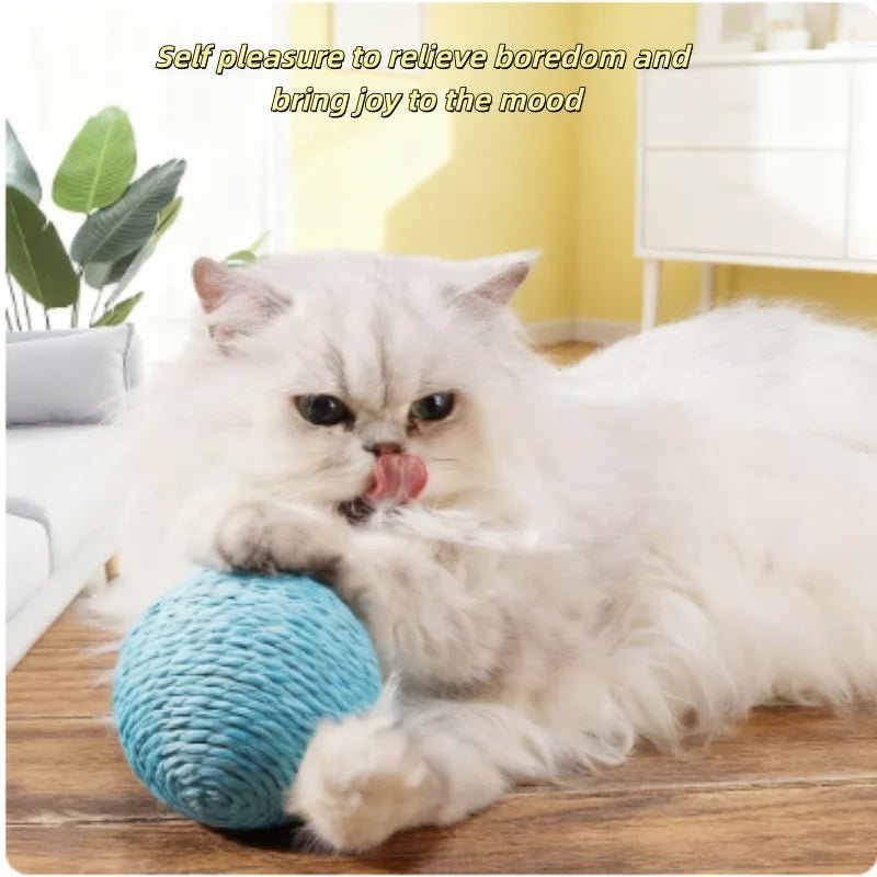Cat Scratching Ball Interactive Cat Toys Bite - resistant Kitten Chasing Ball Pet Sounding Toys for Cats Cat AccessoriesHappy TailsHappy Tails