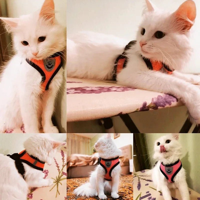Cat Harness Vest Walking Lead Leash For Puppy Dogs Collar Polyester Adjustable Mesh Dog Harness For Small Medium Pet Accessories - Happy Tails