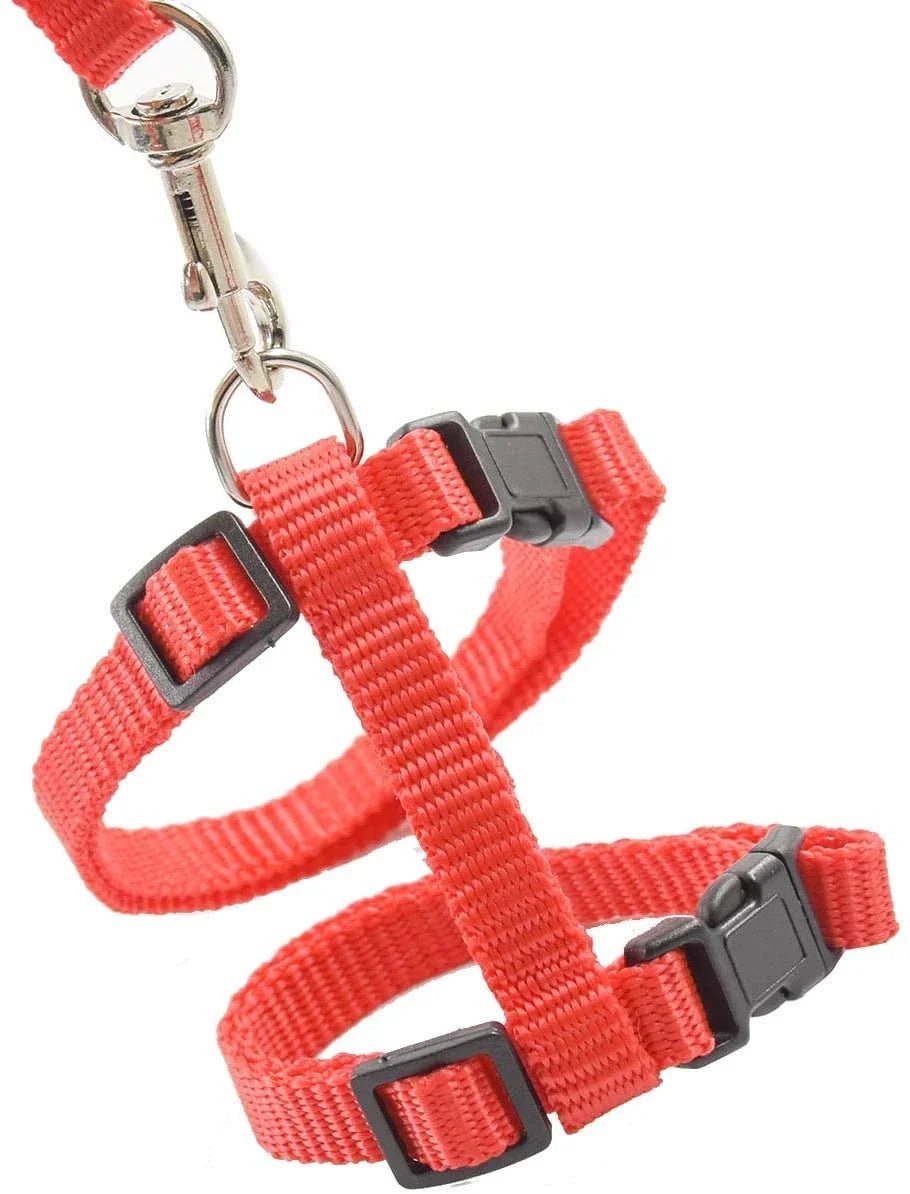 Kitten Cat Harness Leash Set Walking Escape Proof Adjustable Nylon Halter Collar Harness for Cats Puppy Rabbit Pet Accessories - Happy Tails