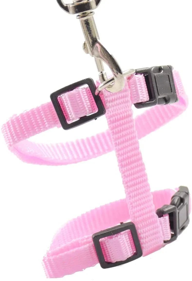 Kitten Cat Harness Leash Set Walking Escape Proof Adjustable Nylon Halter Collar Harness for Cats Puppy Rabbit Pet Accessories - Happy Tails