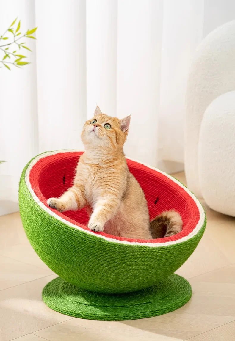 Cat ToysInteated  Scratching Board Non-edding  Toy Climbing Frame for Arpening Claws Durable Scratch Pad for Kittens - Happy Tails