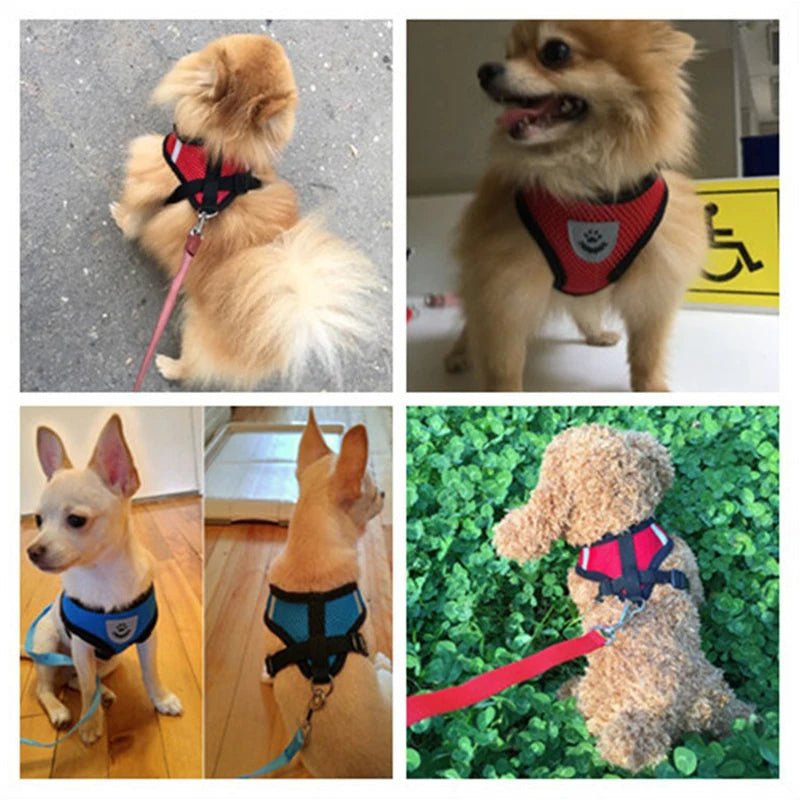 Dog Harness Walking Lead Leash For Small Dogs Collar Polyester Adjustable Mesh Puppy Cat Harness Vest For Medium Pet Accessories - Happy Tails