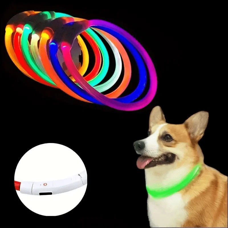Pet Dog LED Light Collar Luminous Anti-Lost Dog Collar USB Rechargeable Dog Necklace Collar - Happy Tails