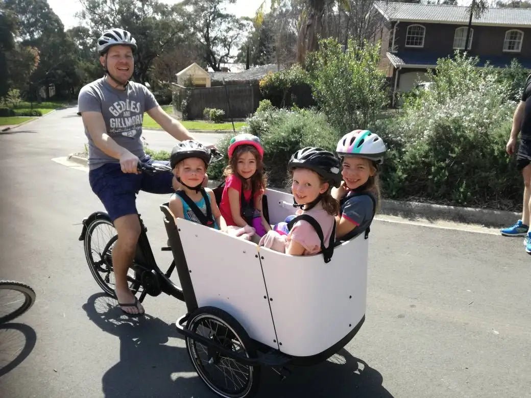 Electric Cargo Bike For Take Dog StrollHappy TailsHappy Tails