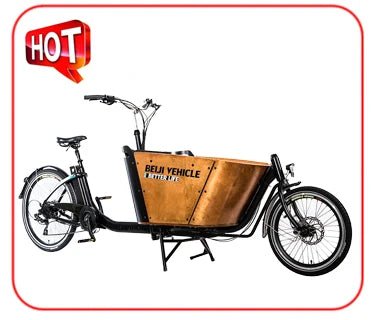 Electric Cargo Bike For Take Dog StrollHappy TailsHappy Tails