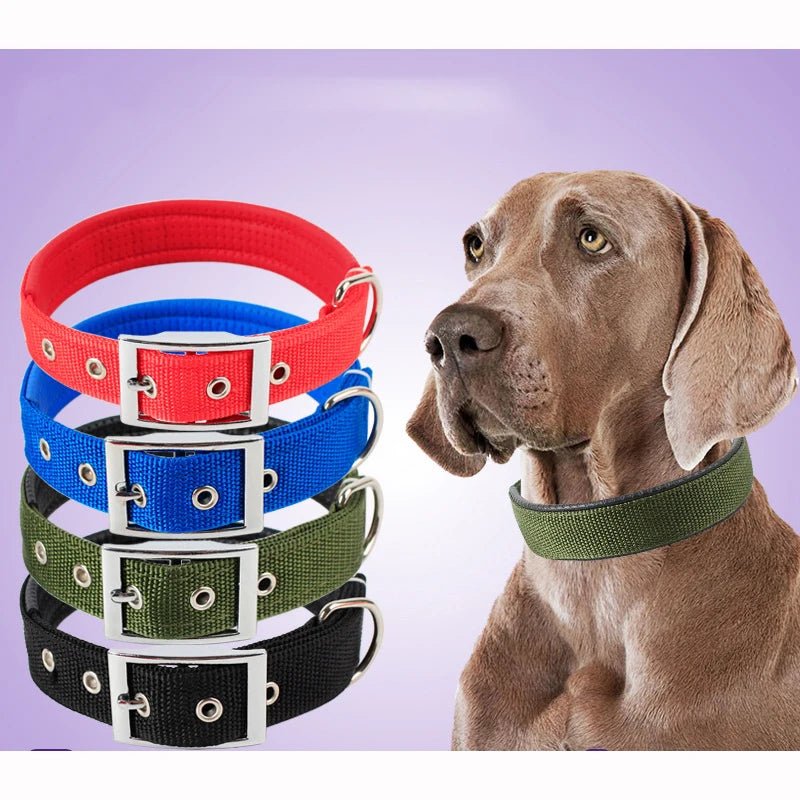 Solid Dog Collars  Nylon Dog Collar For Small Medium Large Dogs Teddy Keji Pitbull Bulldog Beagle - Happy Tails