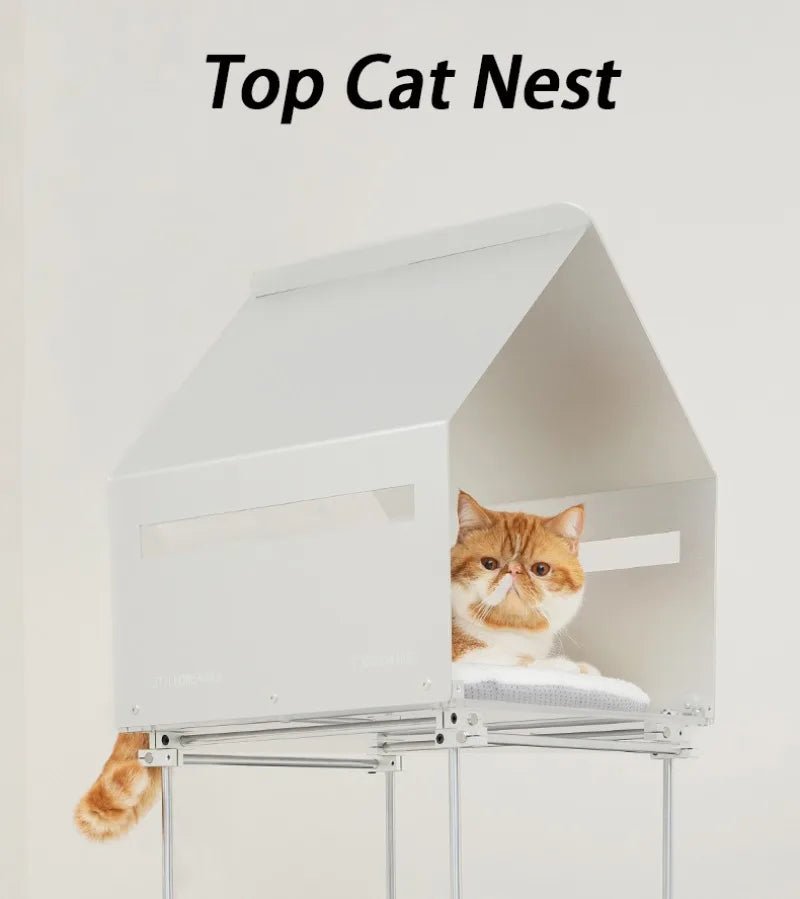 Multi Functional 4 Layers Trees Cat Climbing Frame Stable Acrylic Cat Nest House Cats Scratcher Board Sisal Pet Accessories - Happy Tails
