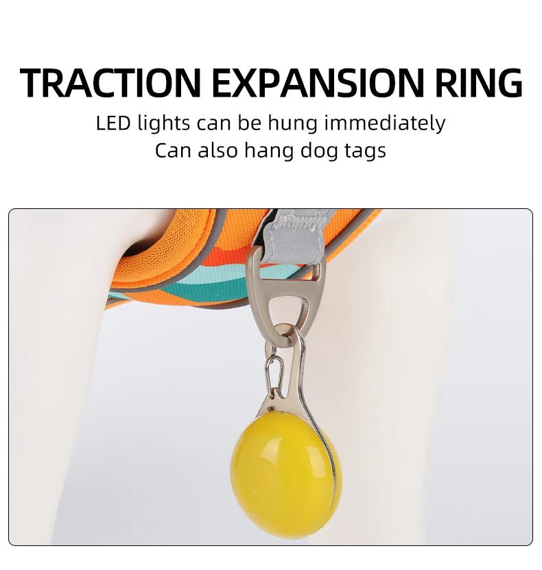 Dog Harness,Reflective Soft Padded Everyday Harness with Dual Leash Clips,Adjustable and Lightweight Fit for Training or Walking - Happy Tails