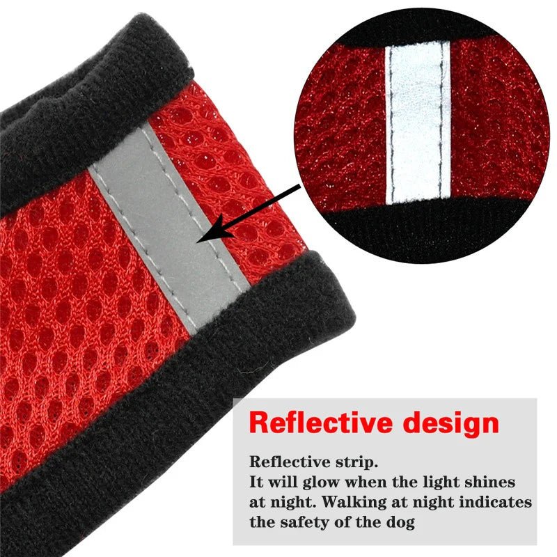 Cat Harness Adjustable Vest Walking Traction Rope Set for Dog Collar Breathable Mesh Harness for Small Medium Cat Dog Pet Lead - Happy Tails