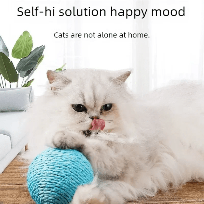 8cm Cat Scratching Ball Interactive Cat Toys Bite Resistant Kitten Chasing Ball Pet Sounding Toys for Cats with Cat AccessoriesHappy TailsHappy Tails