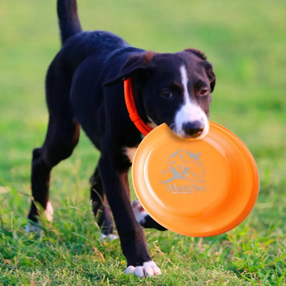 Dog Training Disc - Durable Pet for Puppy & Adult Dog Training, Lightweight Easy - Catch Dog Training Toy, Essential Pet SuppliesHappy TailsHappy Tails